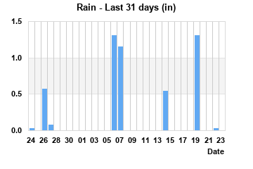 Rainfall last 31 days